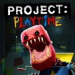 Project Playtime