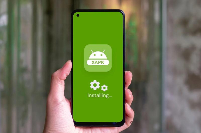 Một file XAPK thường gồm những thành phần nào